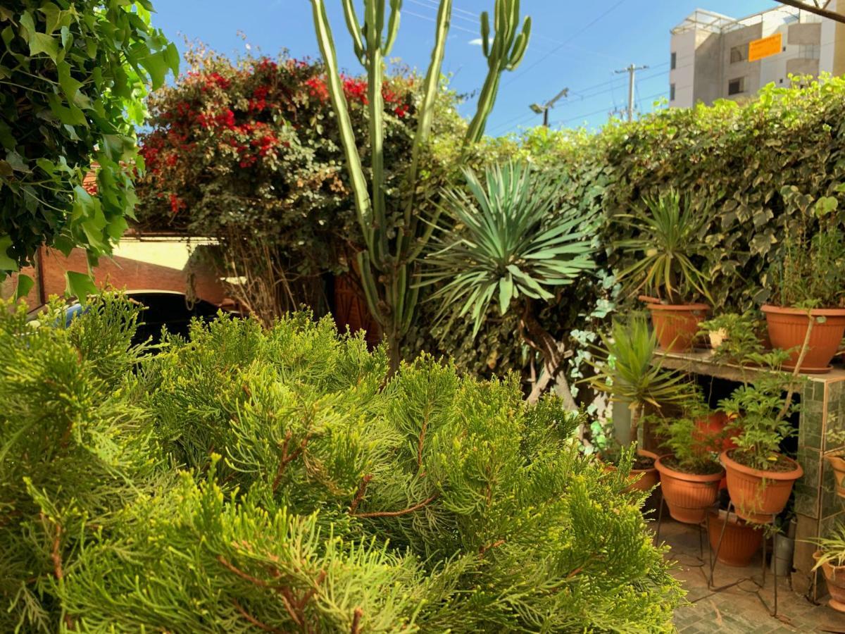 The King Sun Garden Hotell Cusco Exteriör bild